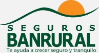 Logo Demo